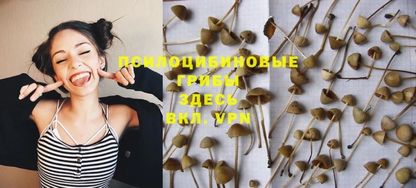 прущие грибы Белокуриха