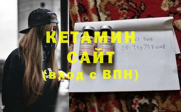 прущие грибы Белокуриха