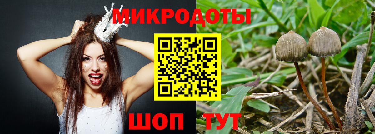 Псилоцибиновые грибы прущие грибы  Галлюциногенные грибы мухоморы  купить   Великий Устюг  Вход с VPN 