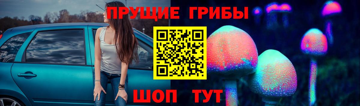 Галлюциногенные грибы MAGIC MUSHROOMS Великий Устюг