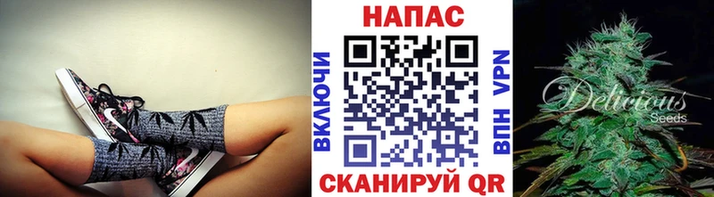 Бошки Шишки гибрид  Великий Устюг 